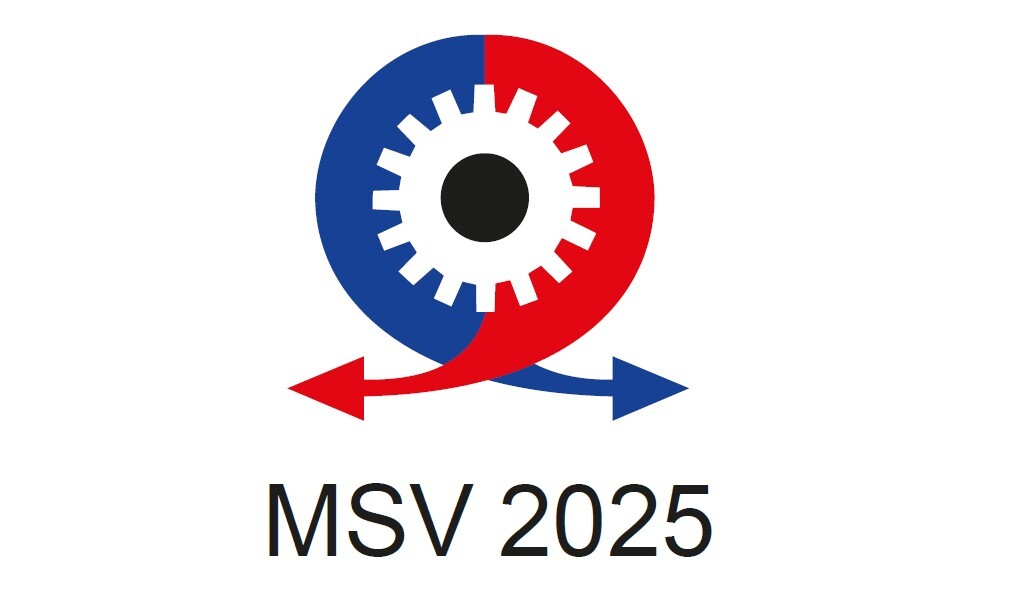 MSV Logo gross
